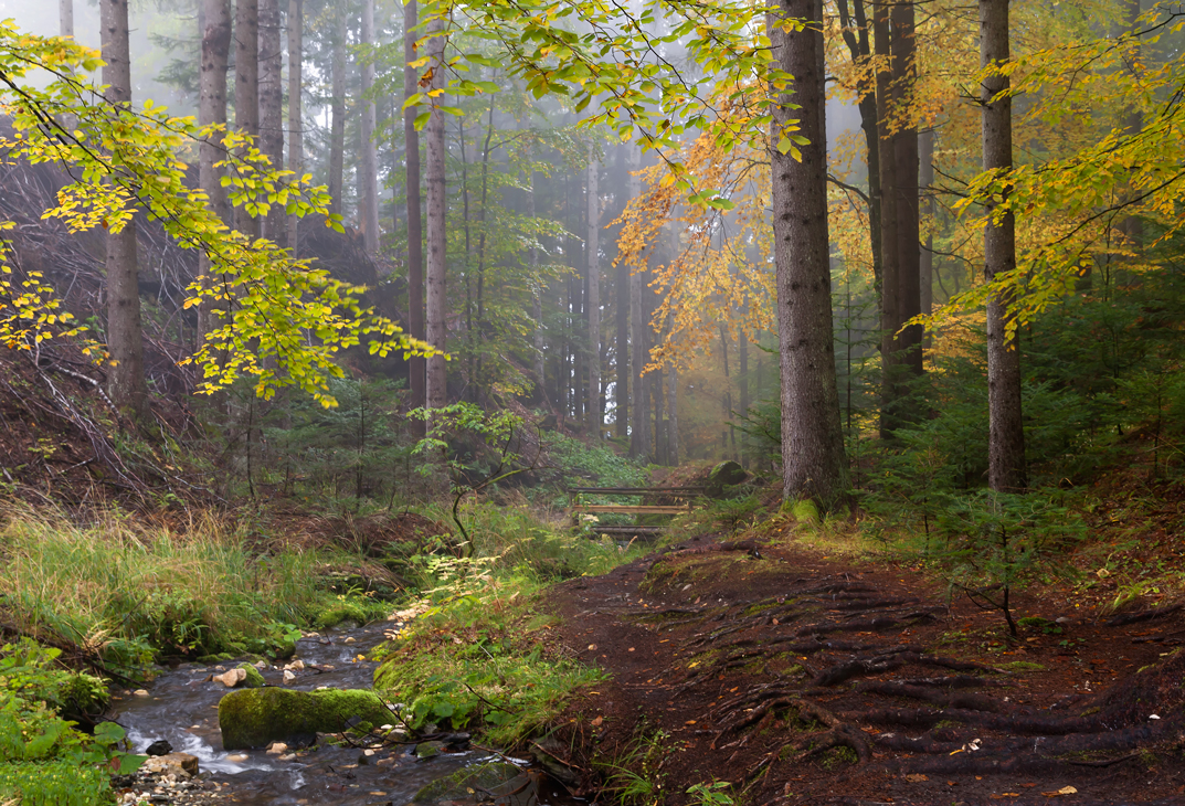 Die Schönheit des Herbstes