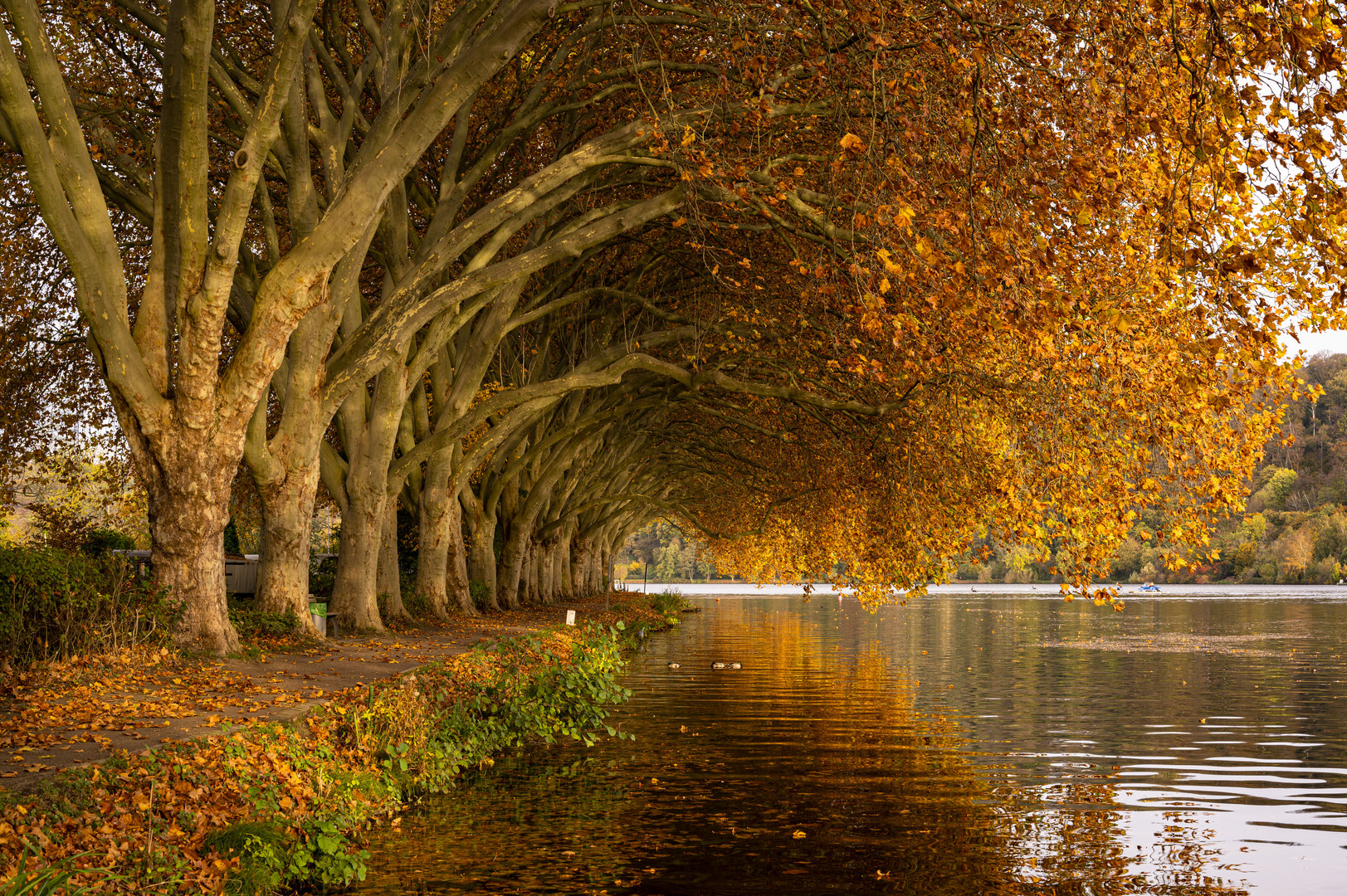 Die Schönheit des Herbstes