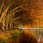 Die Schönheit des Herbstes