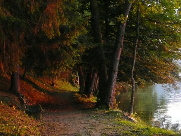 Die Schönheit des Herbstes.