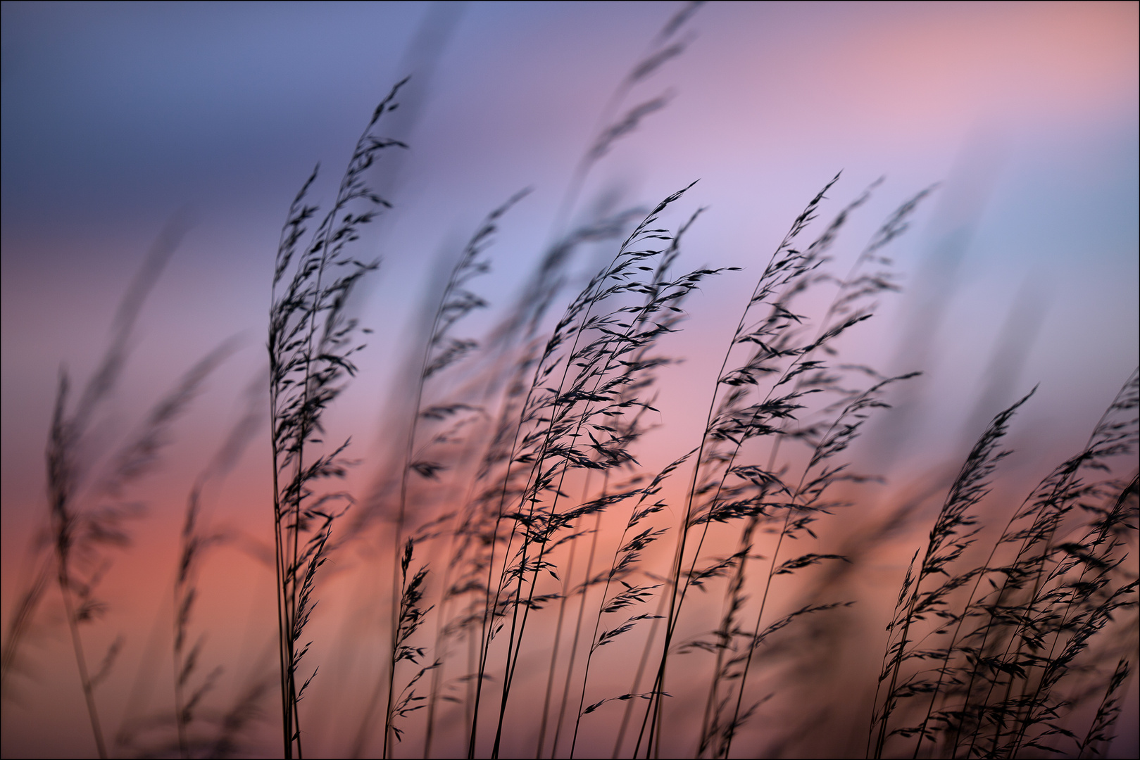 die Schönheit des Sonnenuntergangs