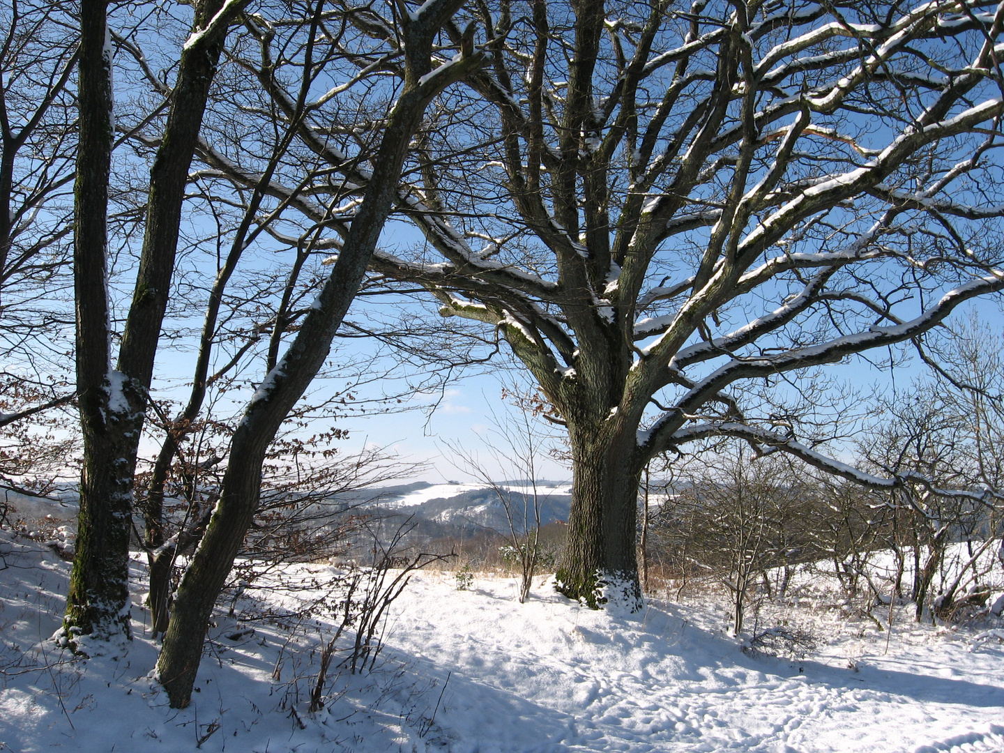 Die Schönheit des Winters