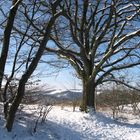 Die Schönheit des Winters