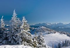 Die Schönheit des Winters