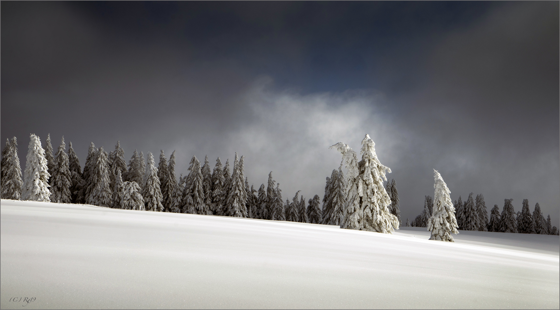 die schönheit des winters