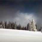 die schönheit des winters