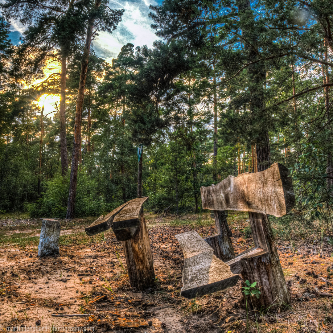 Die Schönheit des Zerfalls6: Für ein Picknick im Wald nicht zu empfehlen
