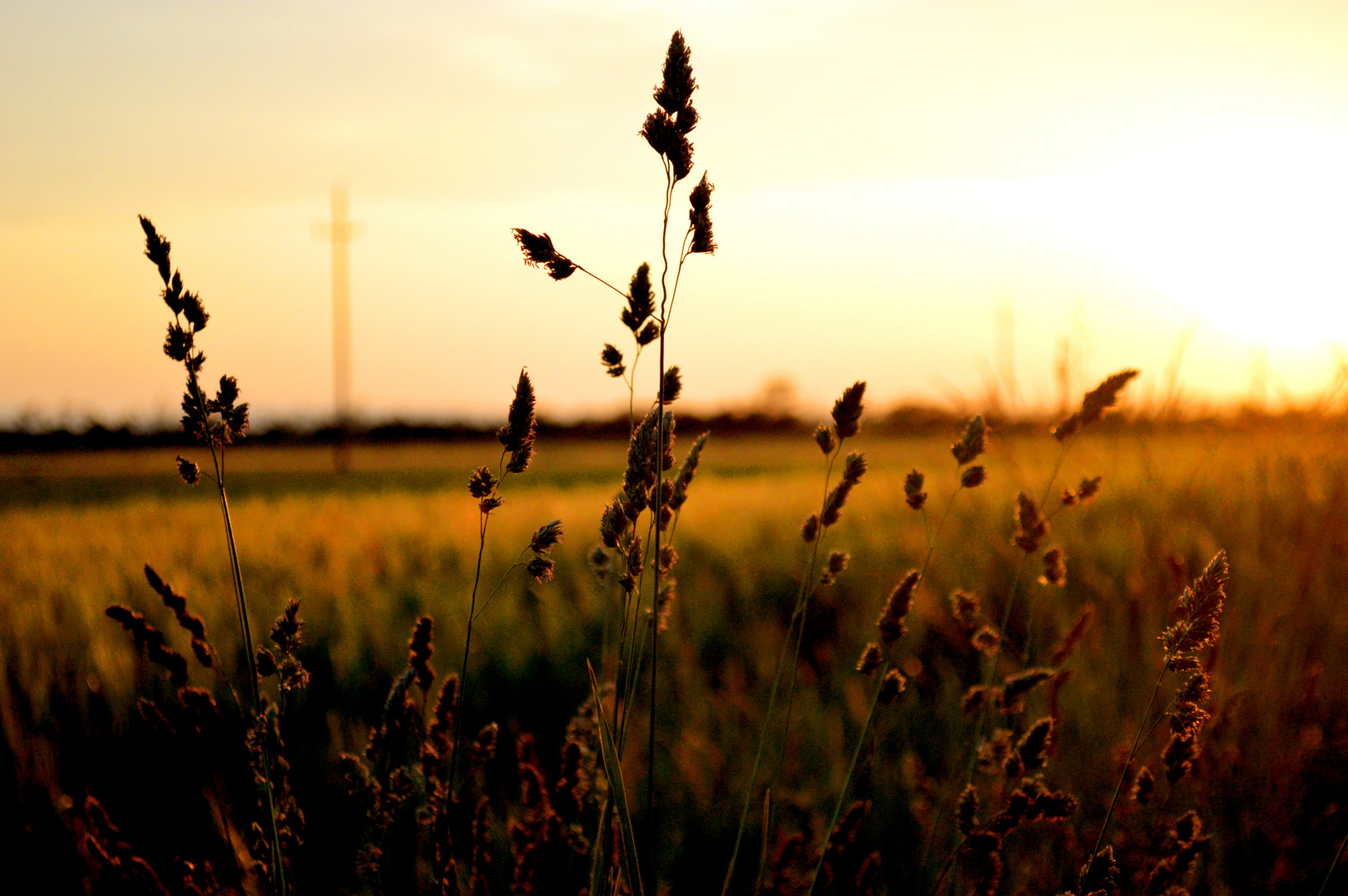 Die Schönheit eines Sonnenunterganges in der Natur