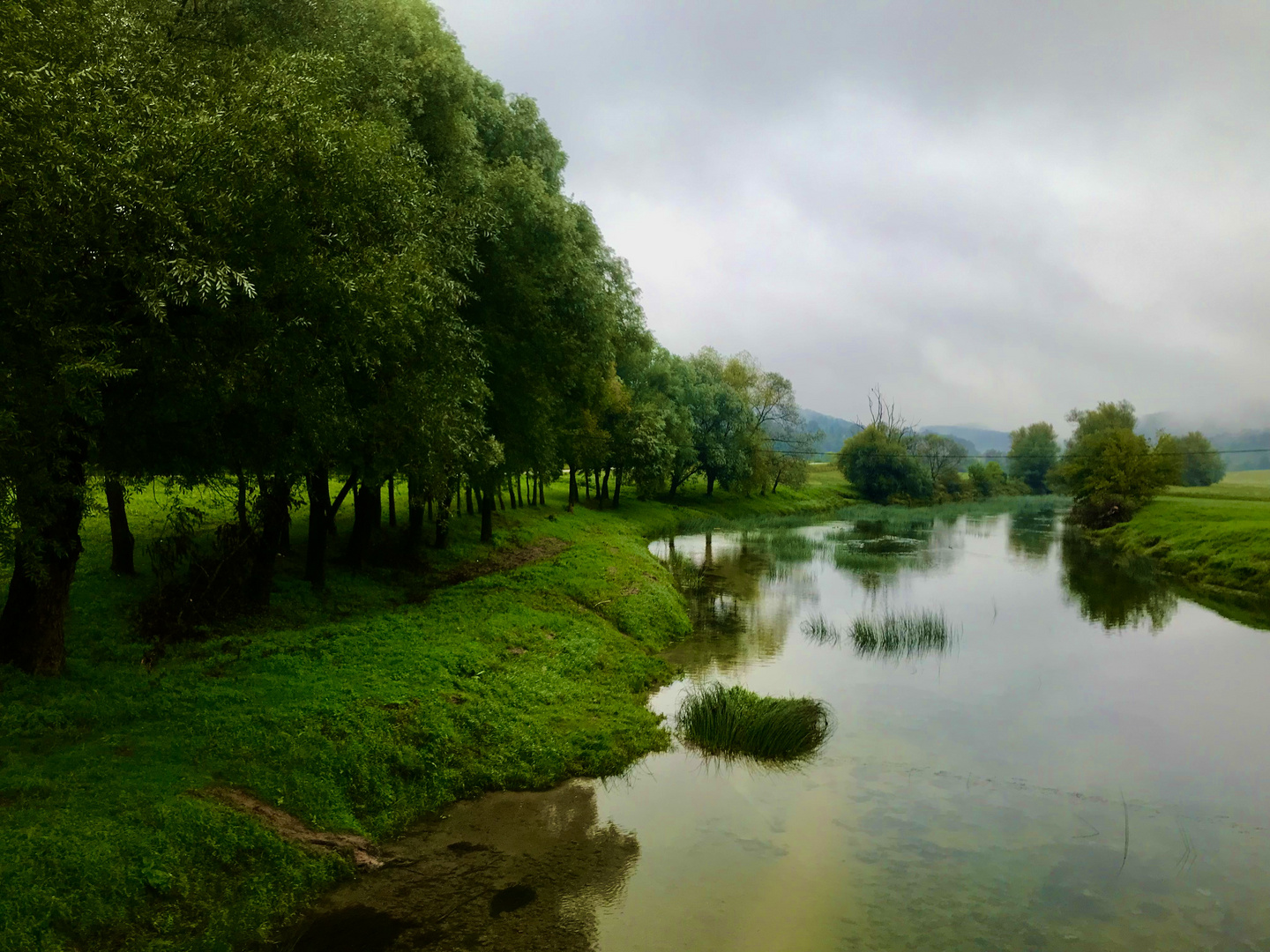 die Schönheit im Spiegel der Natur am Fluss