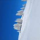 Die Schönheit in Blau-Weiss