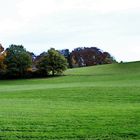 die schönheit namens "herbst"