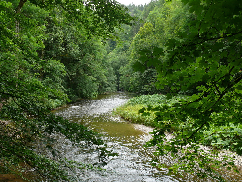 Die Schönheit unberührter Natut