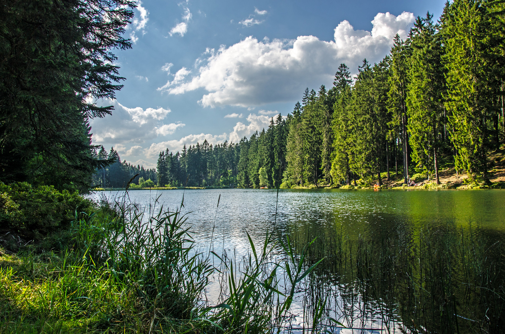 Die Schönheit unserer Natur - der Harz