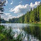 Die Schönheit unserer Natur - der Harz