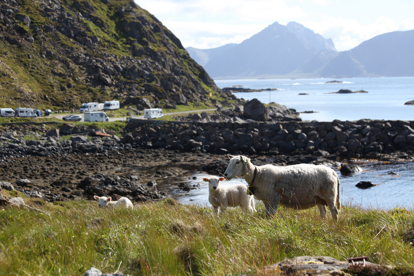 Die Schönheit von Norwegen 