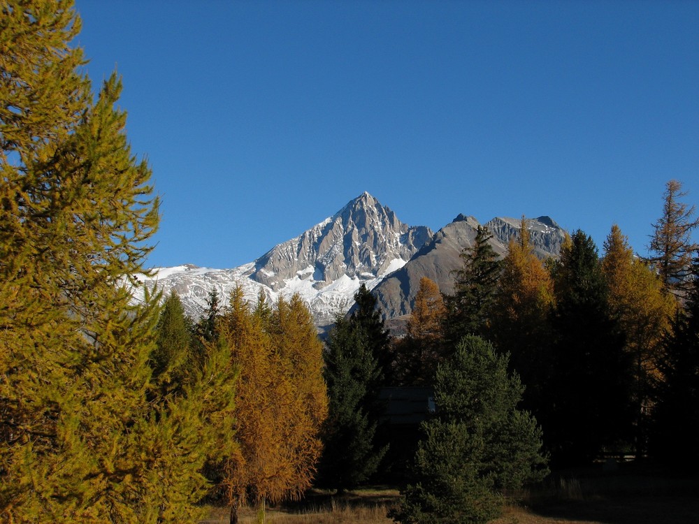 Die Schönheiten des Herbstes