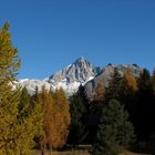 Die Schönheiten des Herbstes