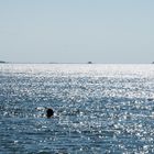 Die schönste Badestelle im Nordfriesischen Wattenmeer 