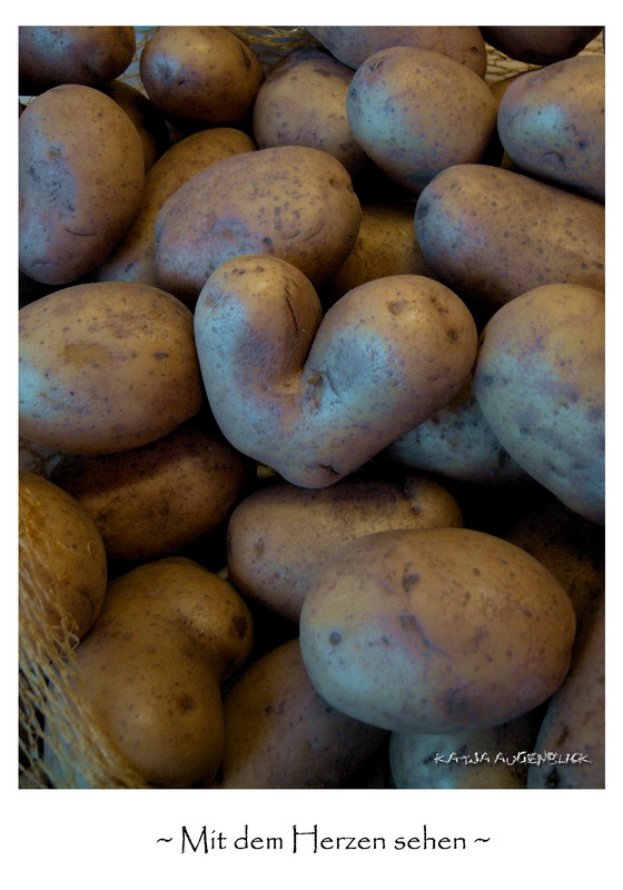...die schönste Kartoffel der Welt...