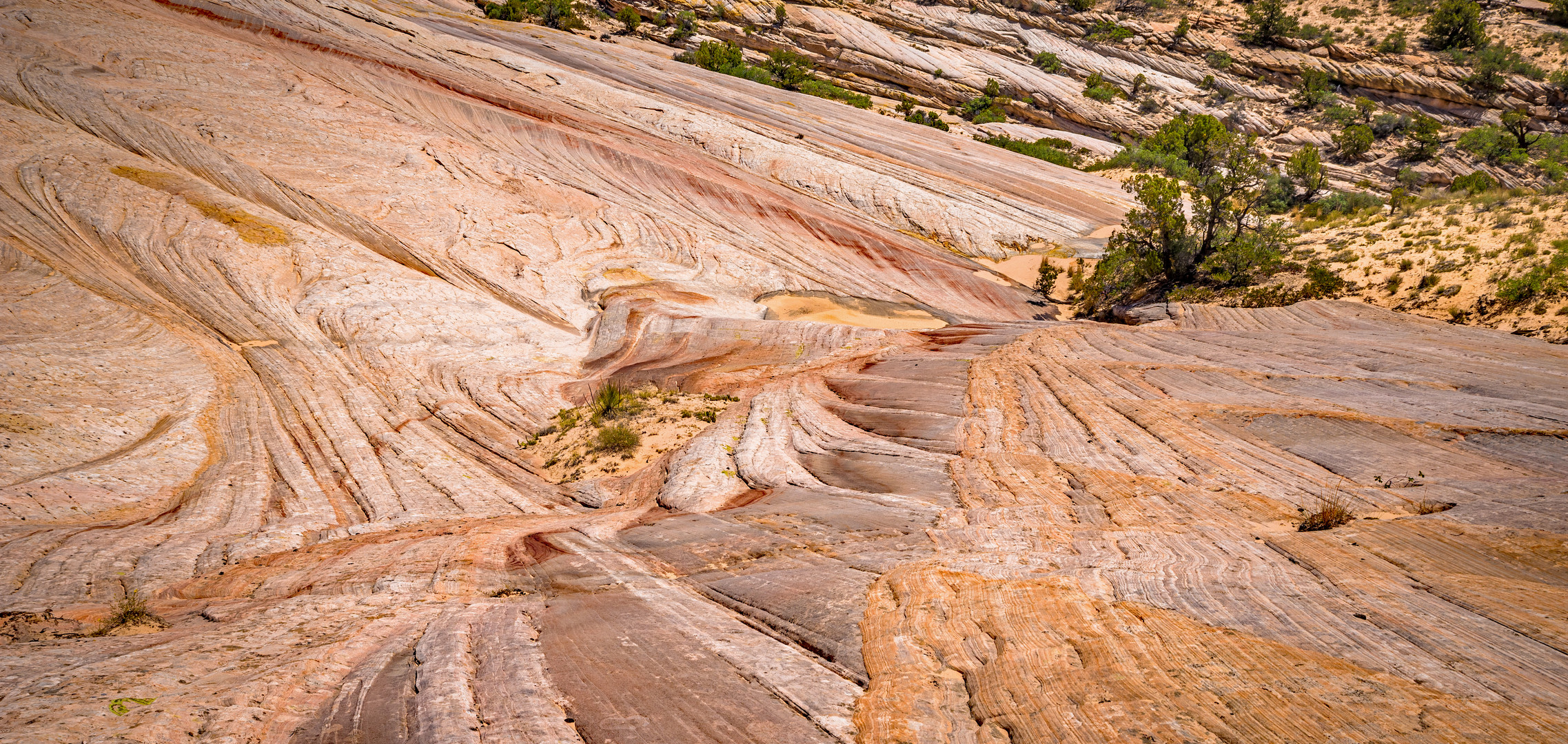 Die schönste "Naturtreppe" der westlichen Hemisphäre