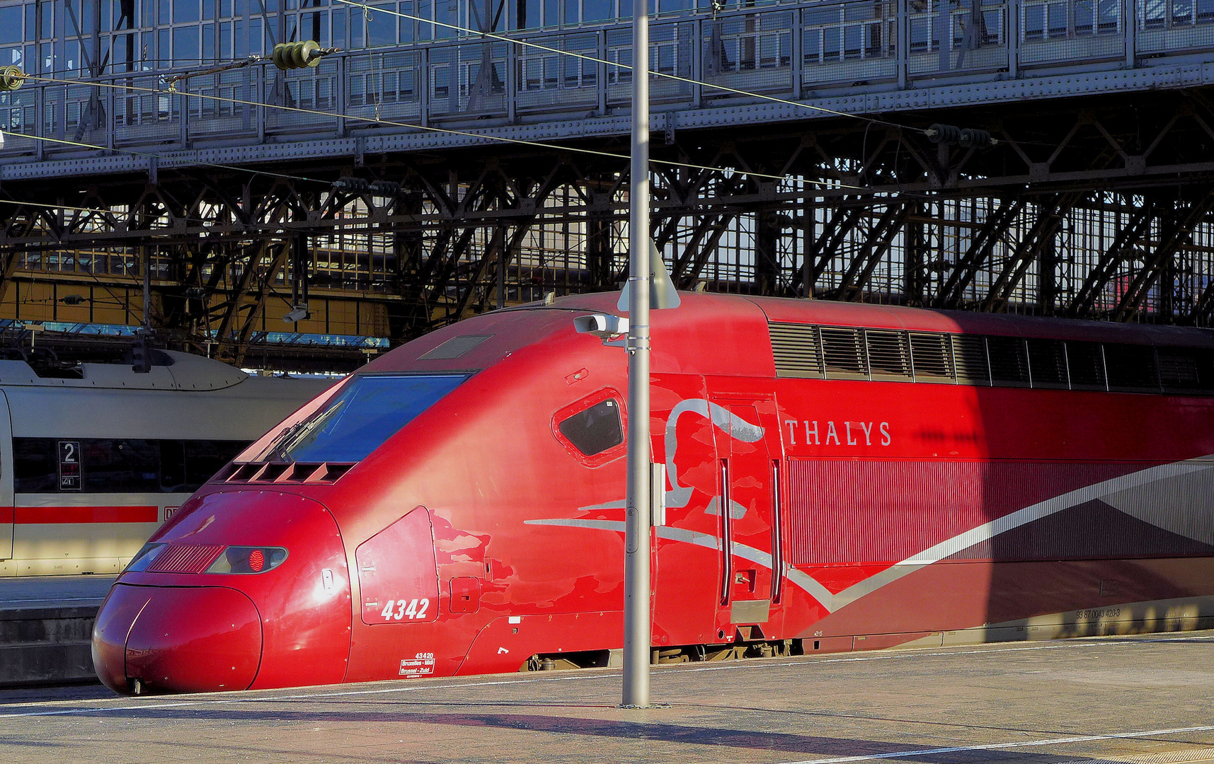 Die schönste Schnauze im Kölner Hbf