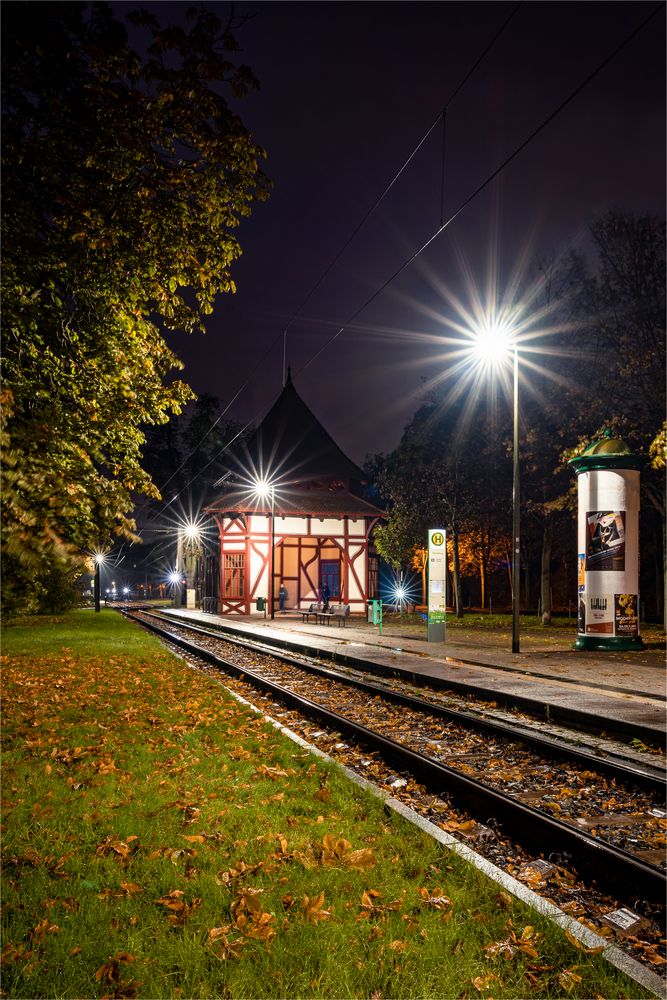 Die schönste Straßenbahnhaltestelle in Magdeburg