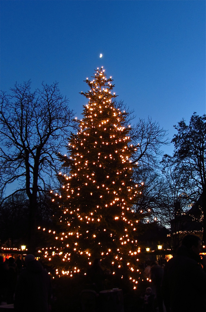 Die schönste Weihnachtsbaumspitze..
