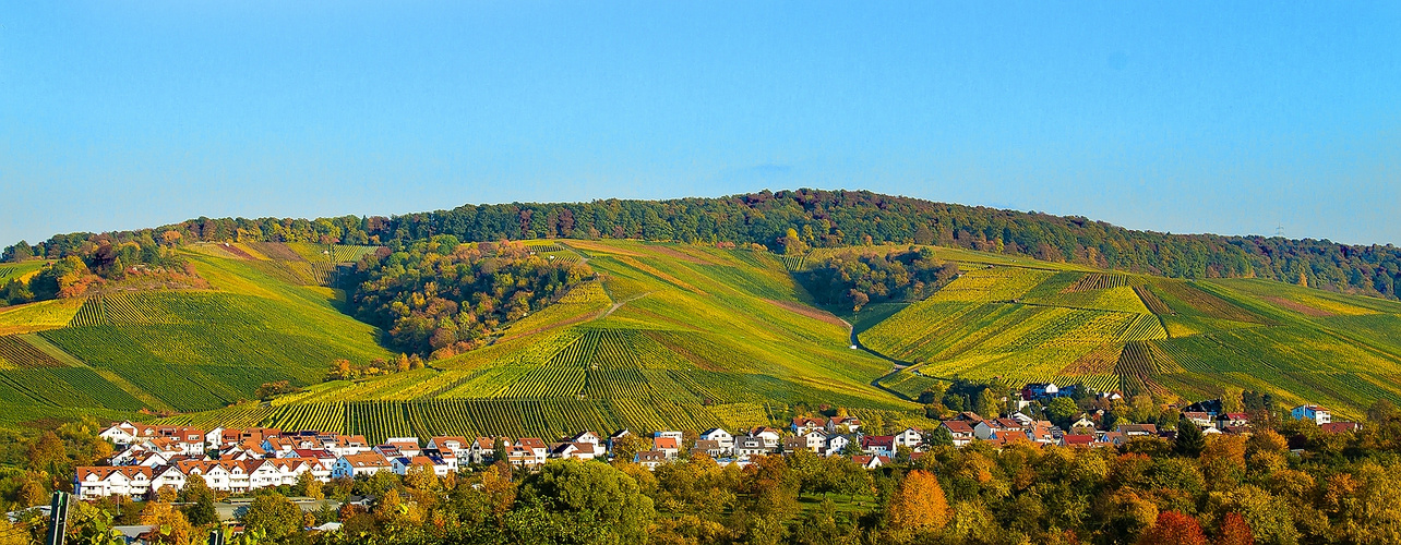 Die schönste Zeit für Weinbergwanderungen