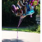 ...die schönsten Ballons der Welt...