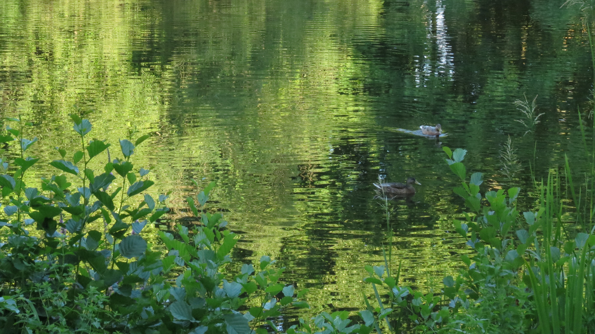 Die schönsten Bilder malt die Natur