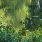 Die schönsten Bilder malt die Natur