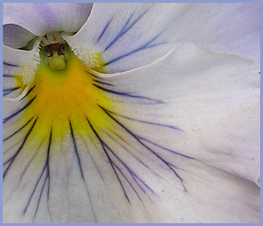 die schönsten Bilder malt die Natur.....