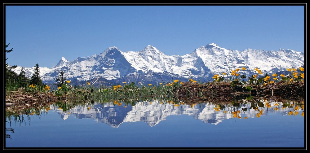 Die schönsten Drei im Spiegelbild