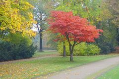......die schönsten Farben bringt uns der Herbst