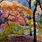 Die schönsten Farben des Herbstes