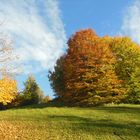 die schönsten farben des Herbstes