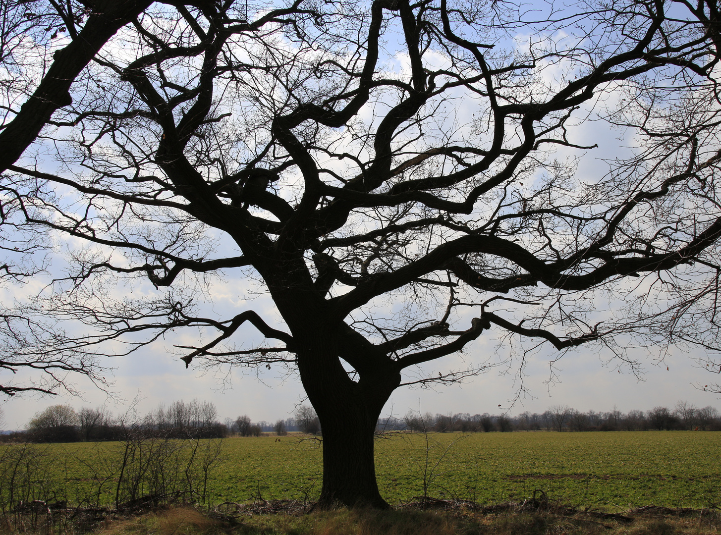 Die schönsten Formen der Natur.