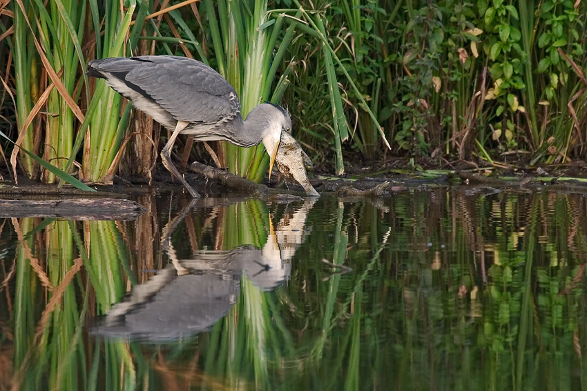 Die schönsten Naturerlebnisse 2004