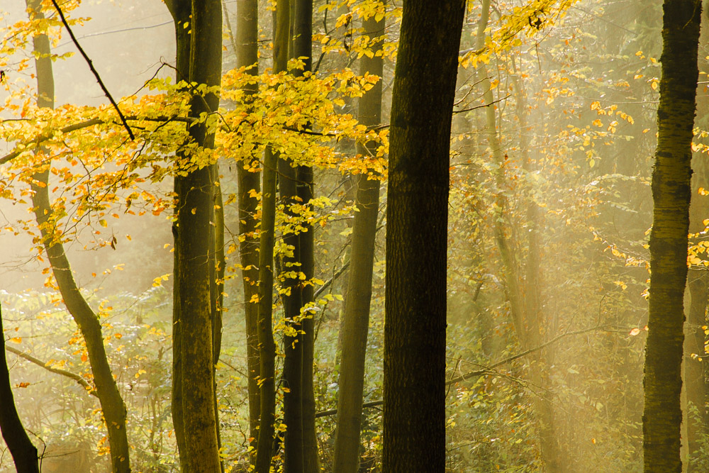 Die schönsten Tage in der Natur