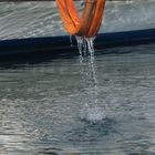 Die Schondorf schwimmt, die Gurte können aus dem Wasser