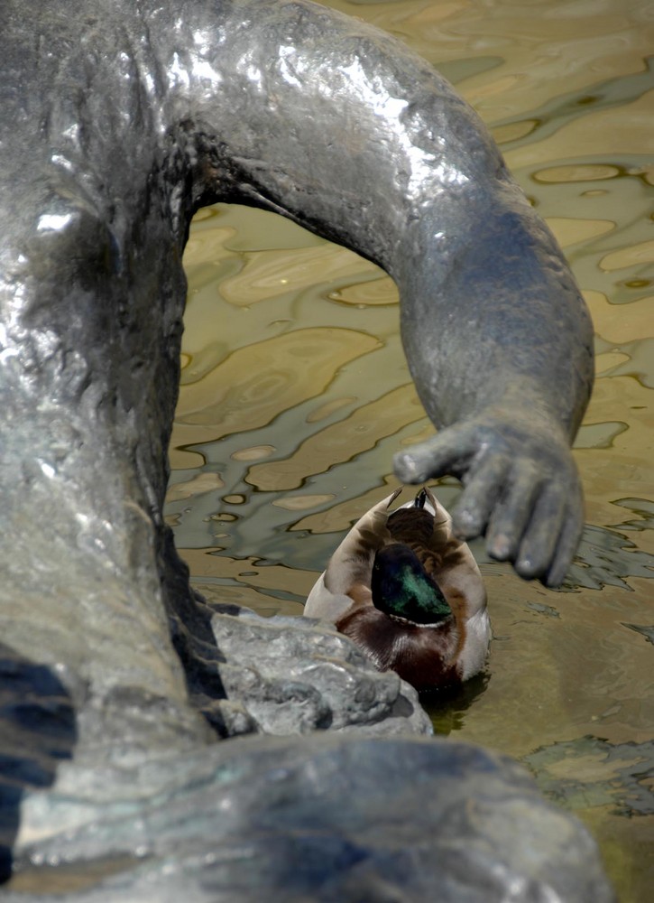 Die schützende Hand