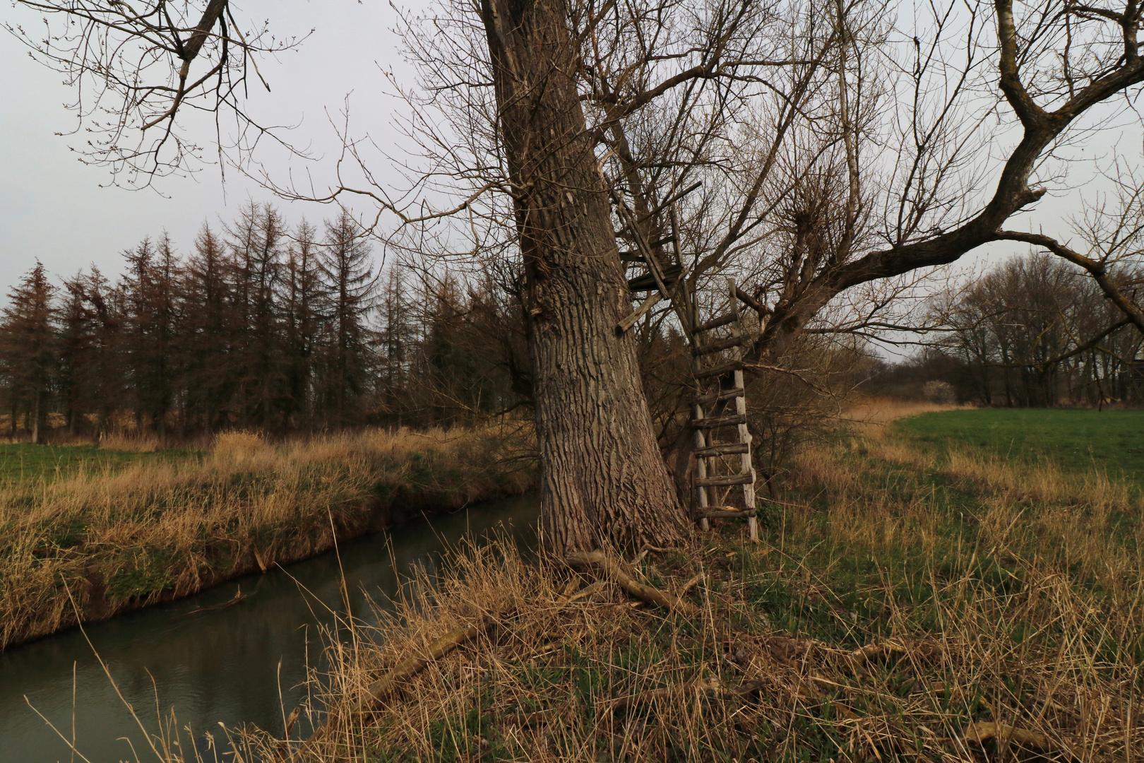 Die Schunter am Bärenkamp