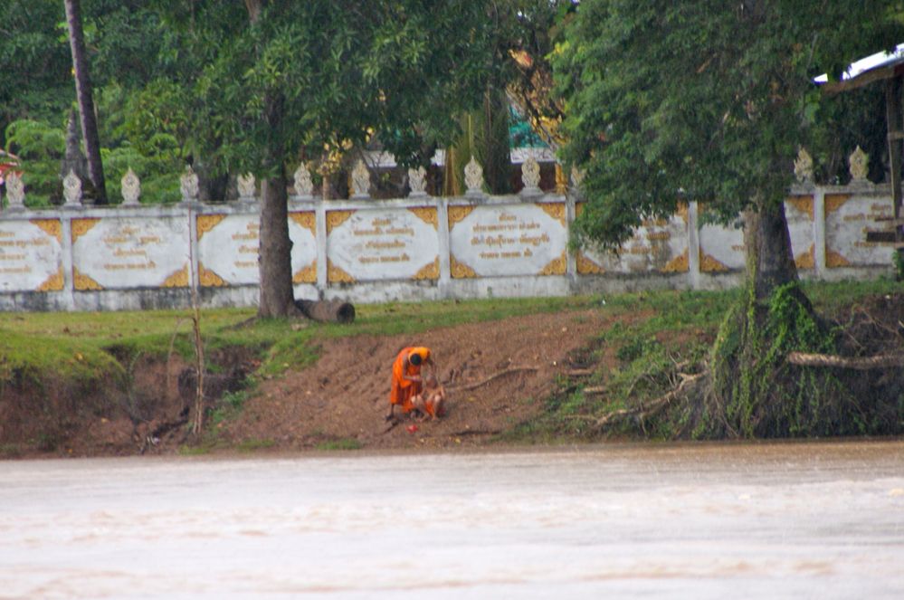 die schur, südlaos 2010