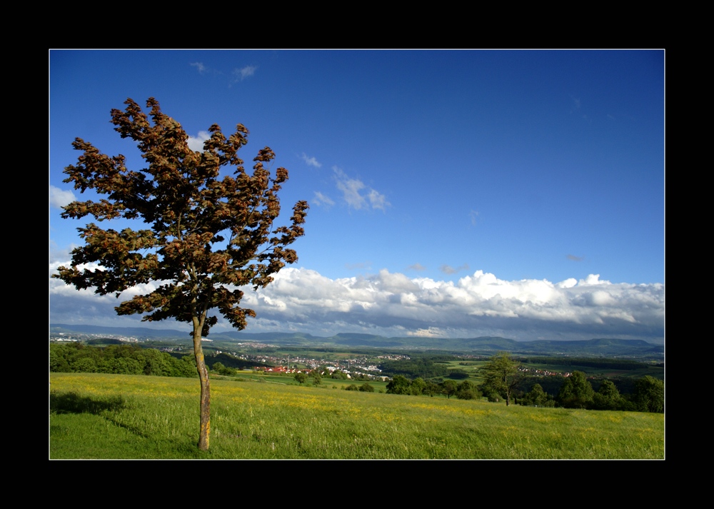 Die schwäbische Alb 1