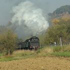 Die Schwäbische Eisenbahn auf dem Weg nach Neuffen !