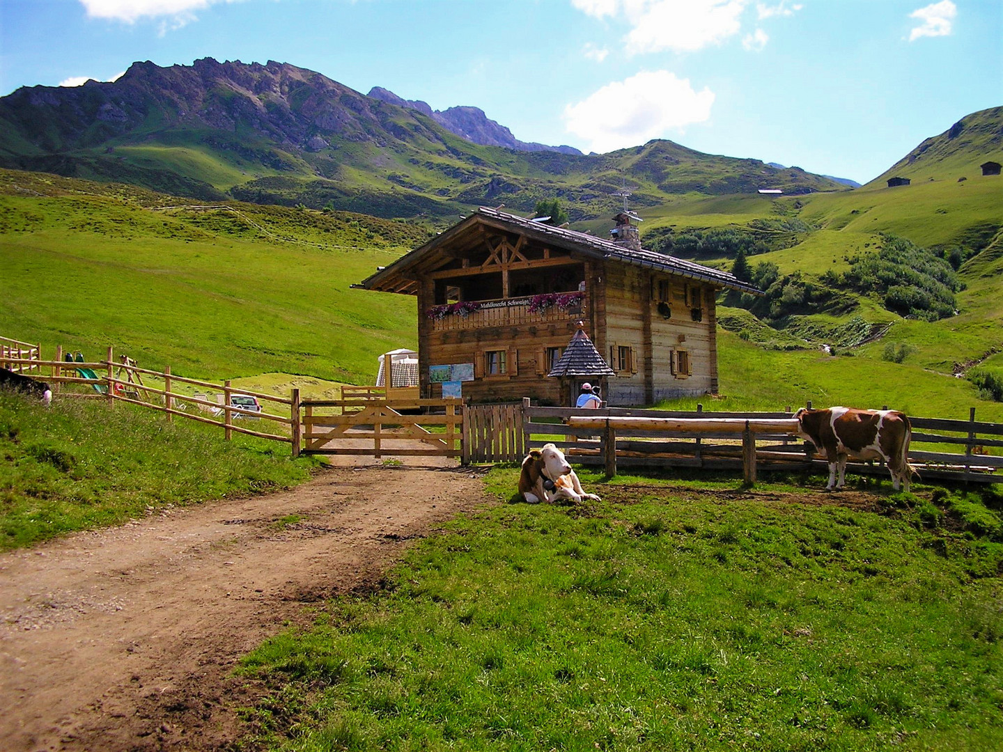 die Schwaiger Alm