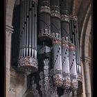 Die Schwalbennest-Orgel