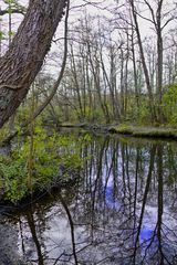 Die Schwalm bei Brempt