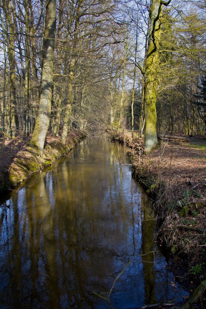 Die Schwalm von Brüggen kommend in Höhe Venekotensee