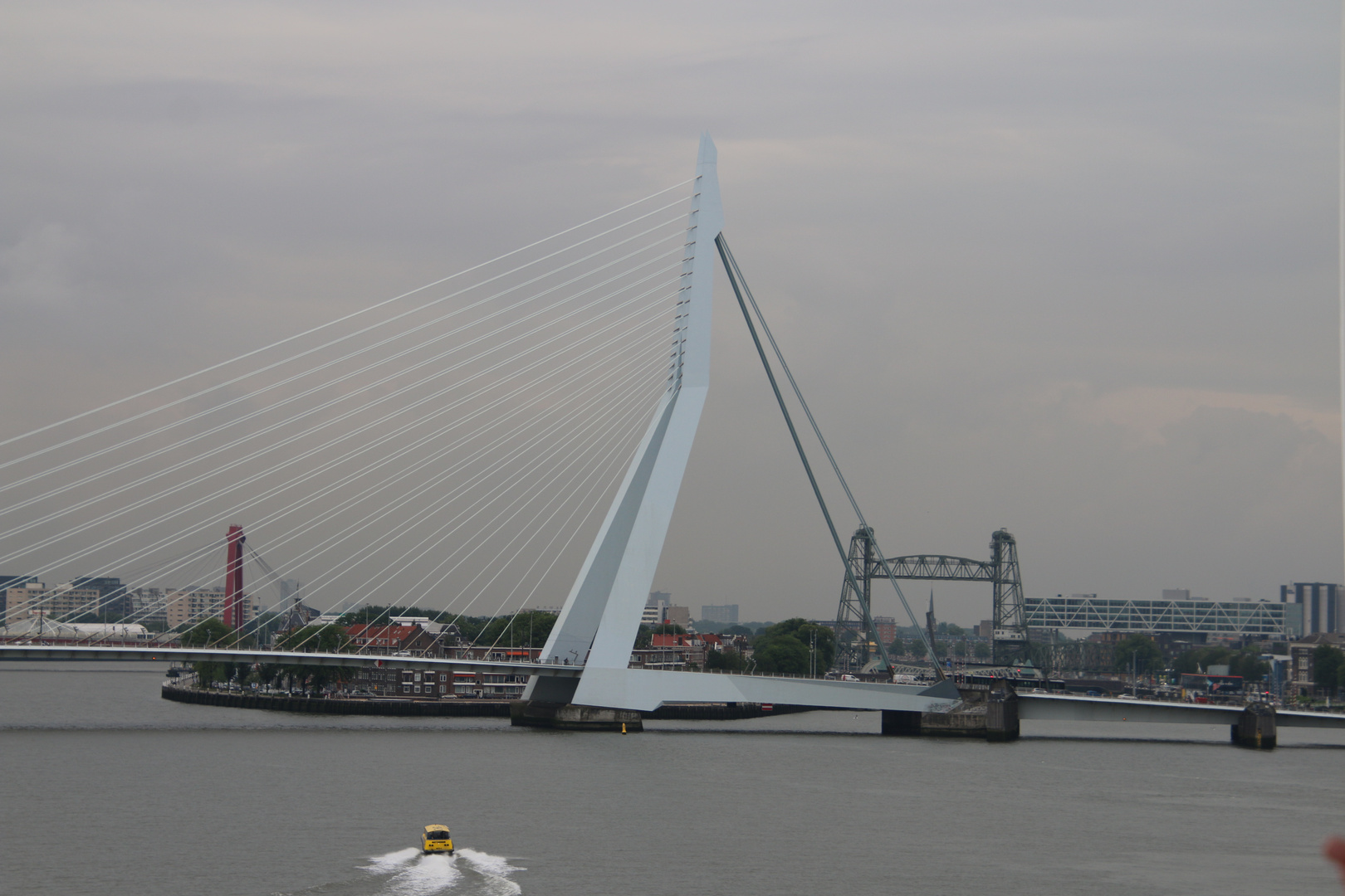 Die Schwanenbrücke in Rotterdam